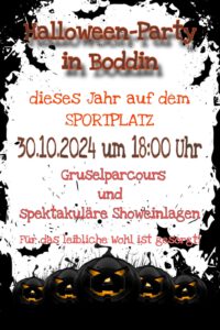 Halloween-Party am 30.10.204 auf dem Sportplatz in Boddin